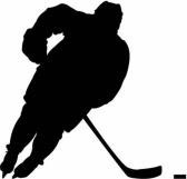 Adult Hockey