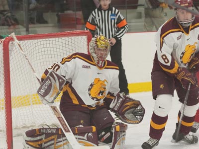 The Ferris State men's ice hockey team will play 19 home games during the 2009-10 regular season.