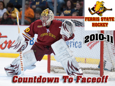 "Countdown To Faceoff": The Goaltenders