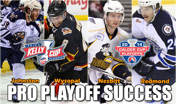 Ferris State Hockey Well-Represented Deep Into AHL & ECHL Playoffs