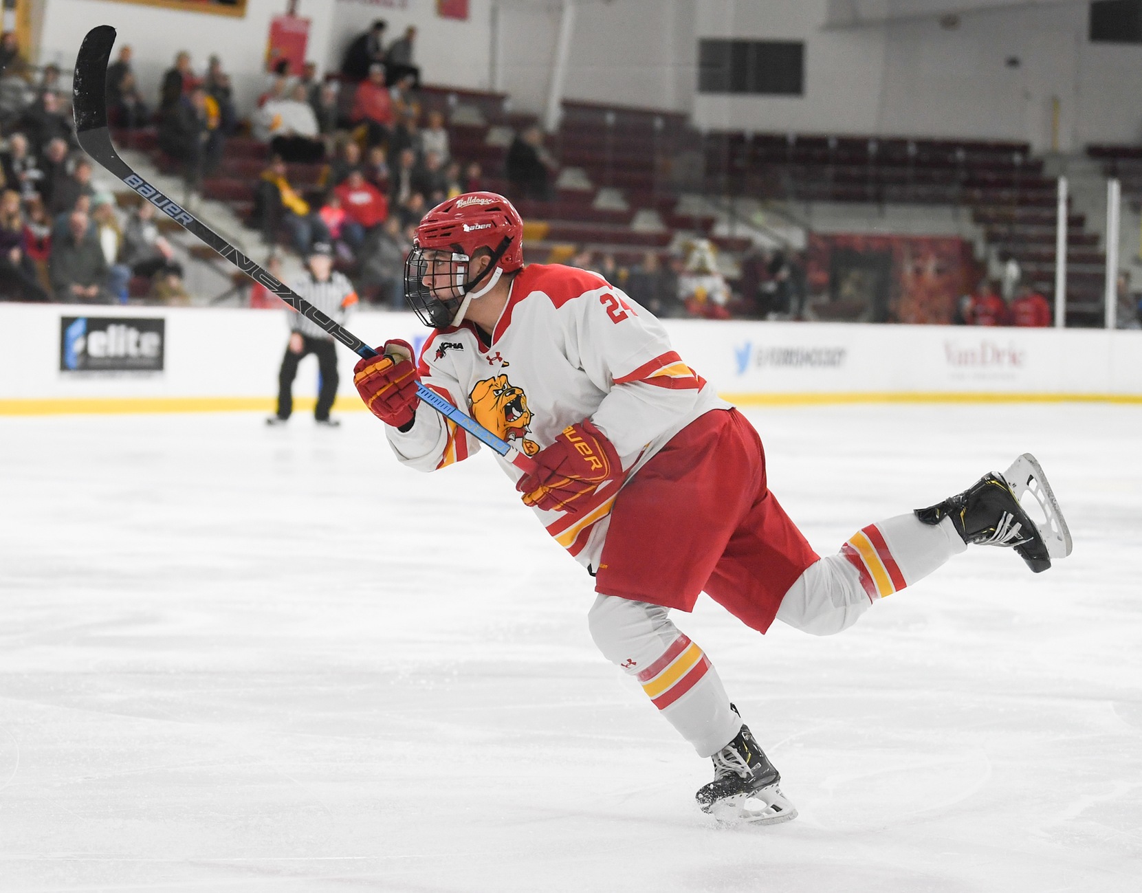 Bulldogs Fall At Home To Lake Superior State