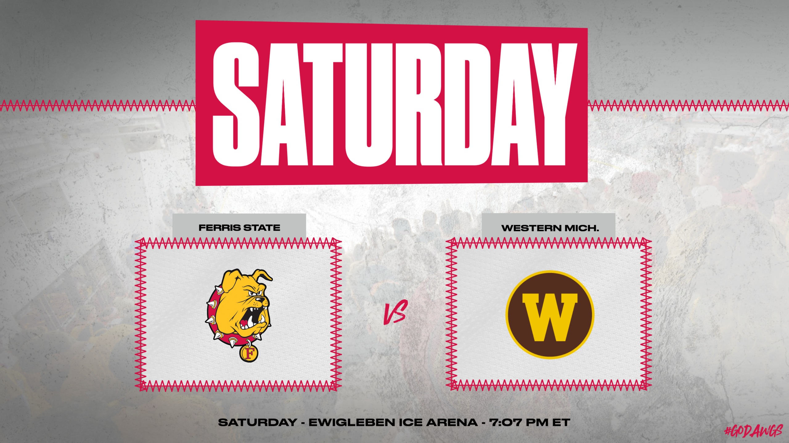 Home Hockey