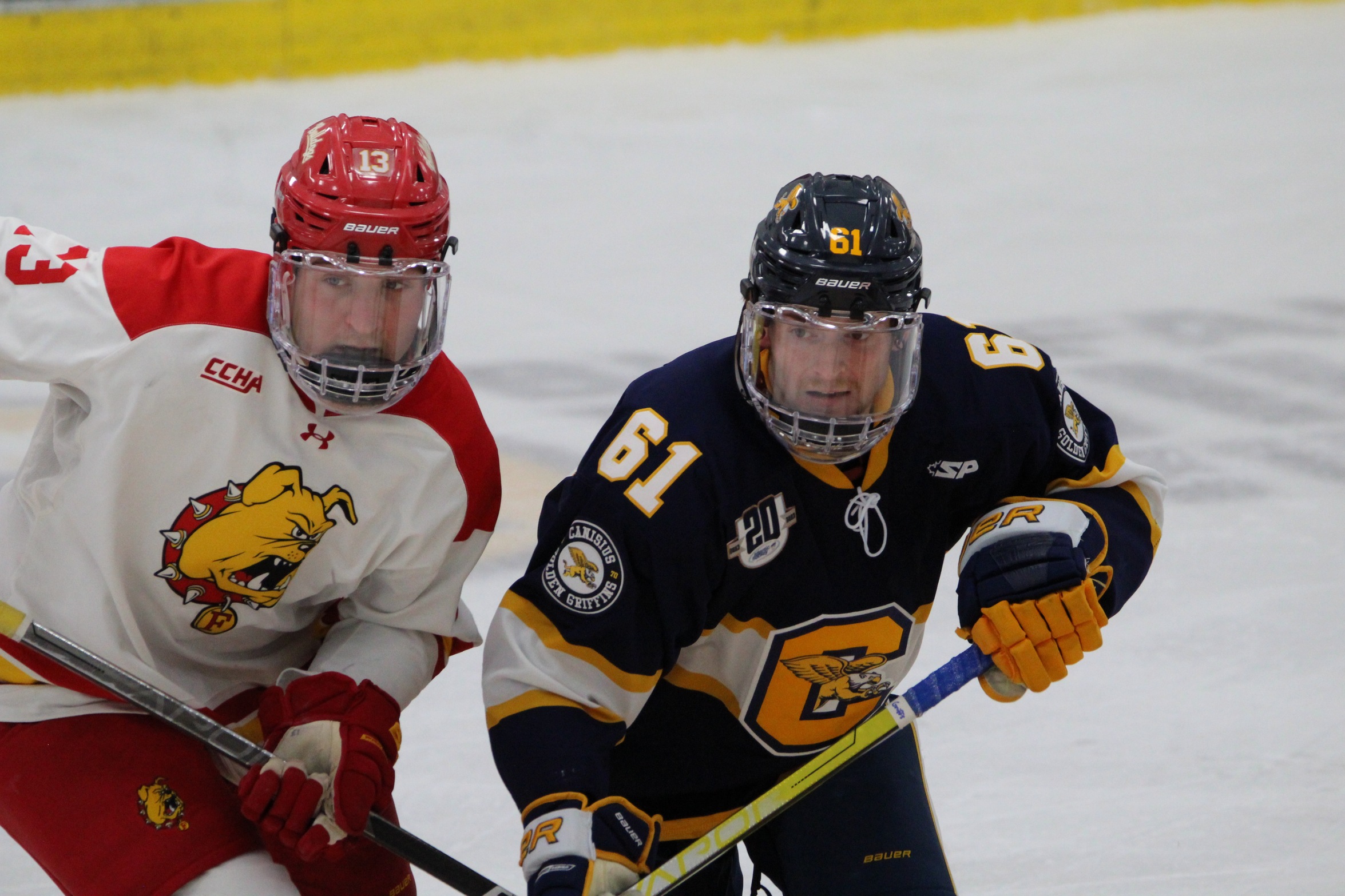 Bulldogs Battle Back But Fall to Canisius