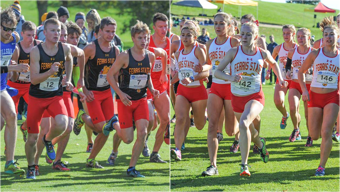 Cross Country