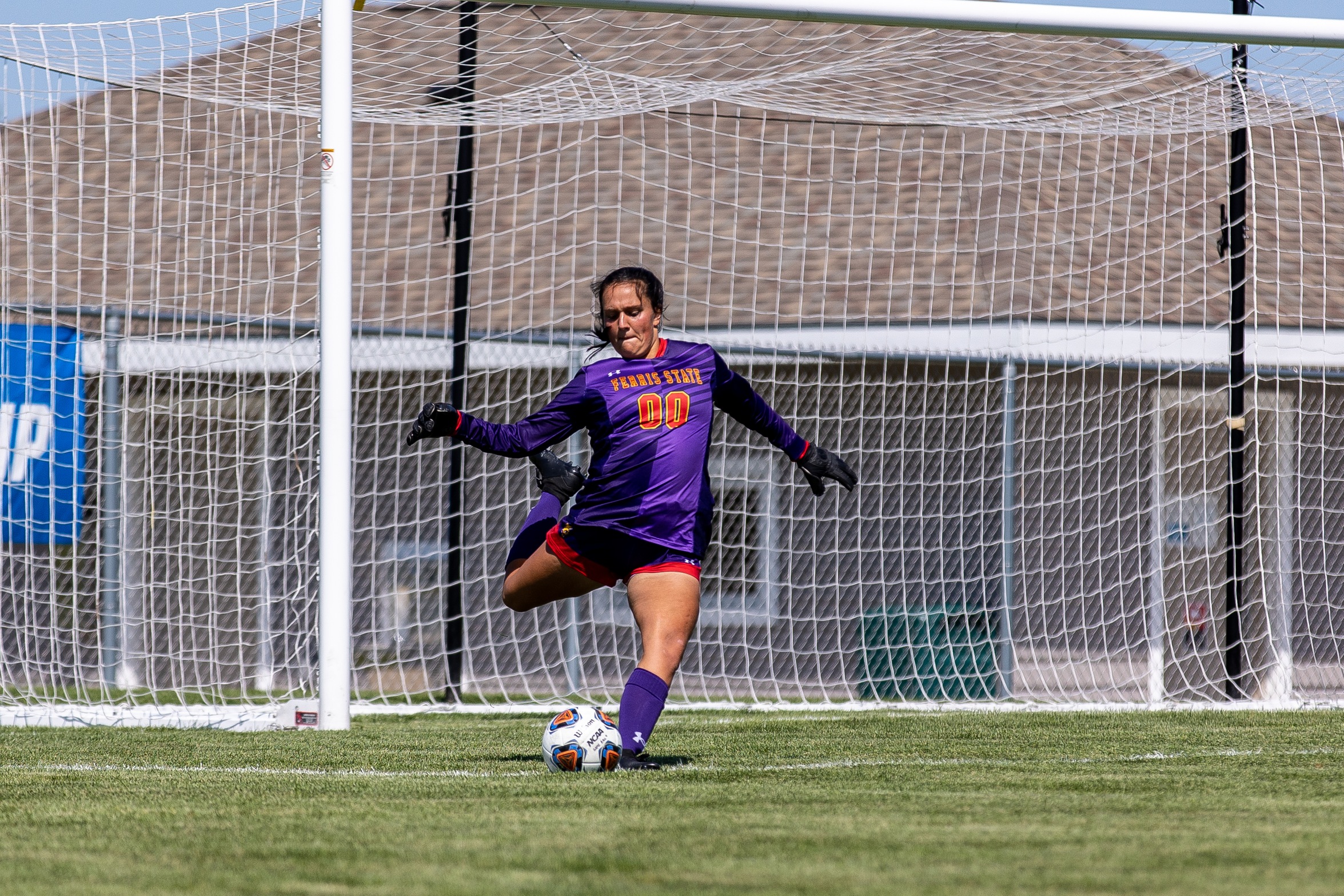 Bulldogs Cruise Past Panthers To GLIAC Semifinals