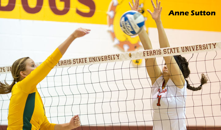 Ferris State's Anne Sutton Claims Academic All-America Laurels