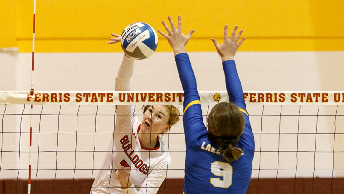 Volleyball Action
