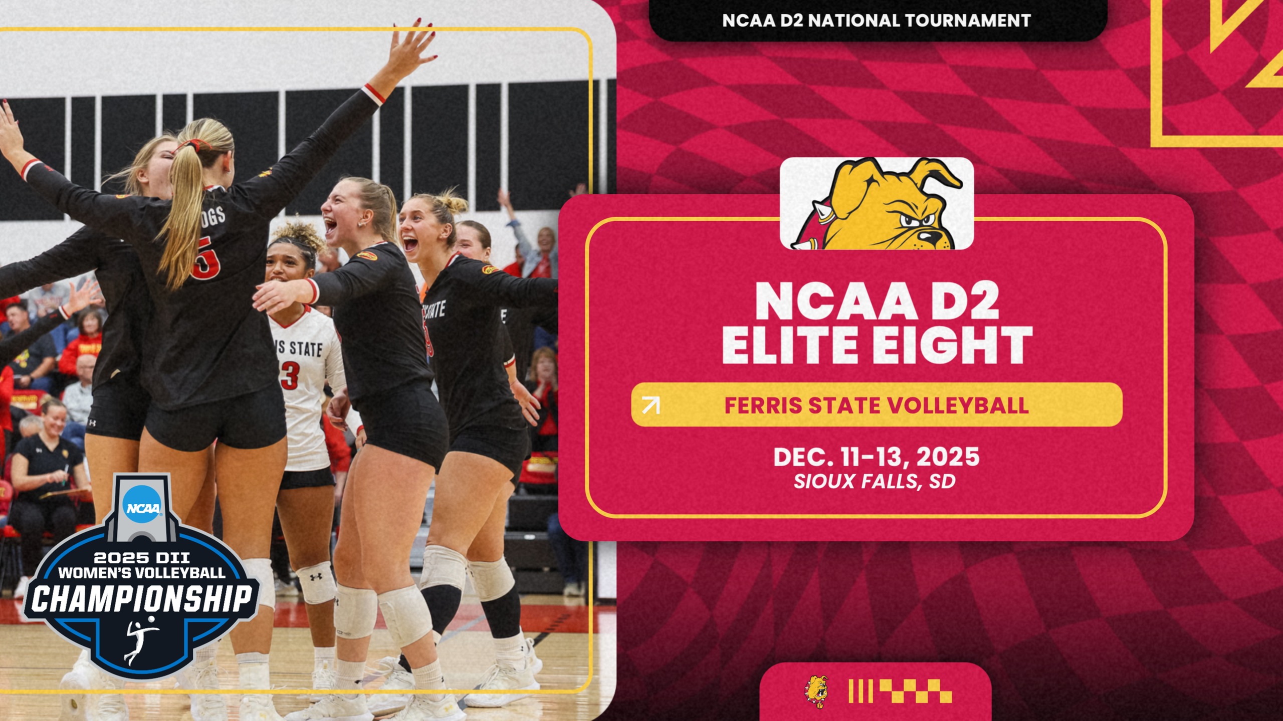 ELITE EIGHT PREVIEW! Ferris State Volleyball To Make Second-Straight D2 Elite Eight Appearance This Week